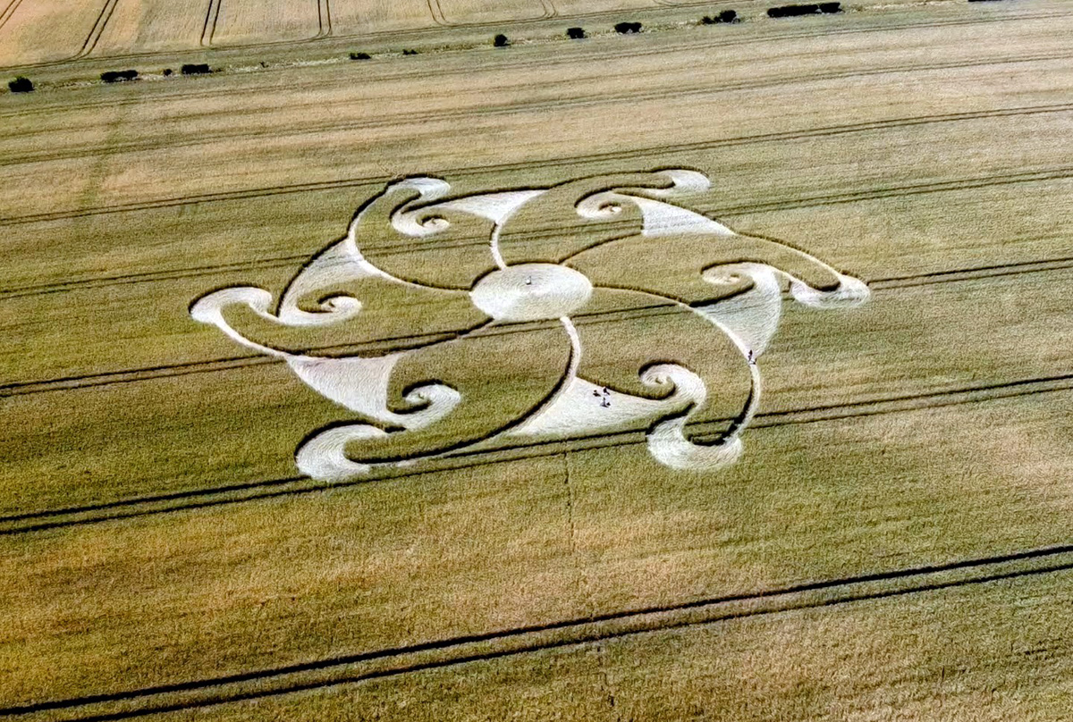 Etchilhampton Crop Circle, August 2024