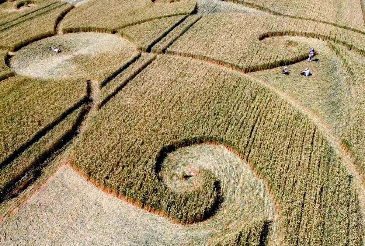 Etchilhampton Crop Circle, August 2024