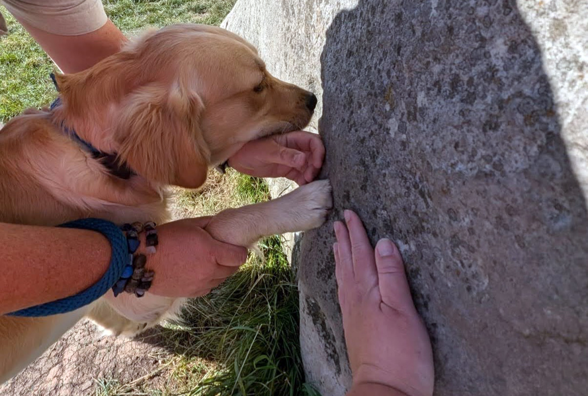 Sullivan in Avebury Stone Circle