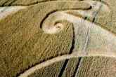 Etchilhampton Crop Circle, August 2024