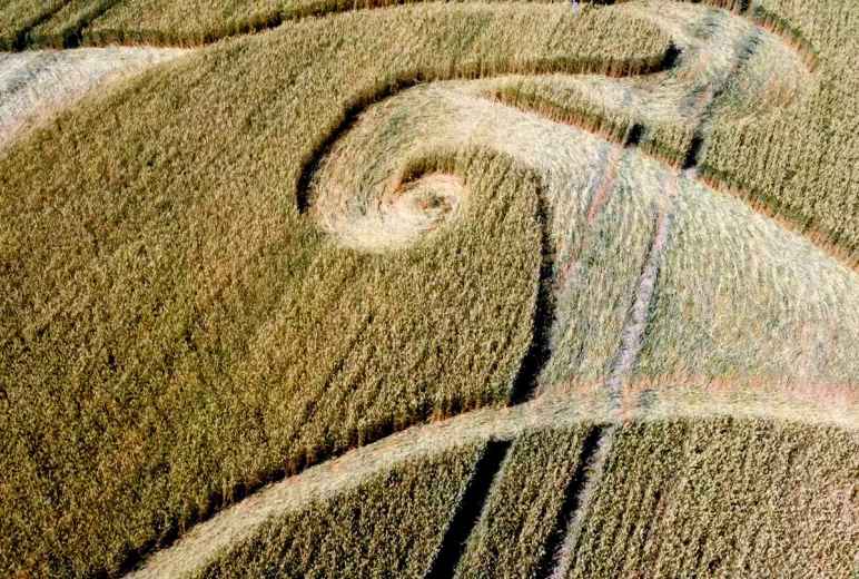 Etchilhampton Crop Circle, August 2024