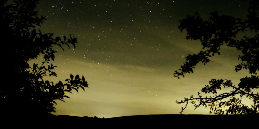 Skywatch Night Sky Stars