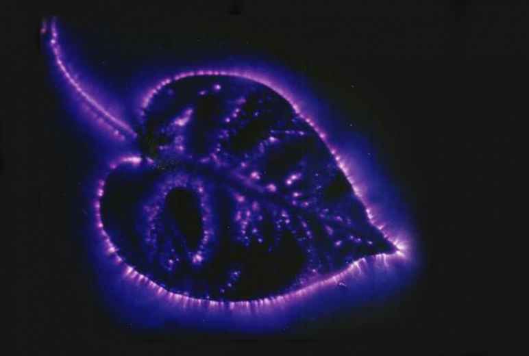 Kirlian Photography