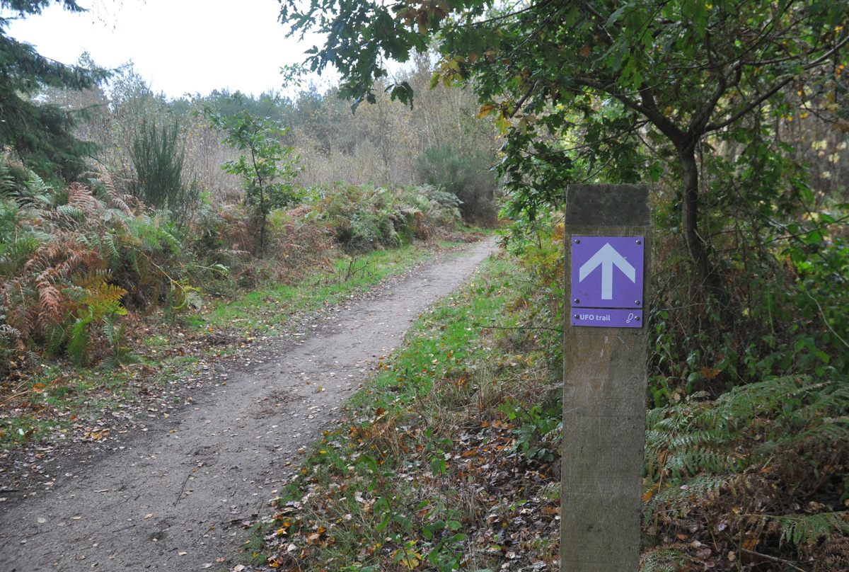 Rendlesham Forest Trail